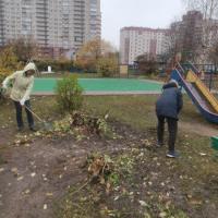 IMG_20221029_101851 - копия